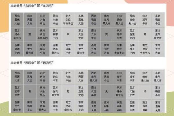 探讨2010年命卦的奥秘与智慧，解读人生的选择与方向