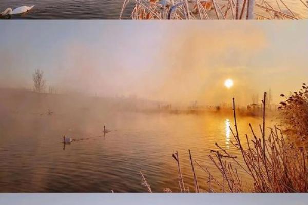 2021年，我的命运如何？从命理看我的生活轨迹与未来方向