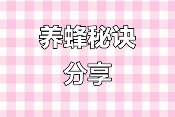 养蜂之道：成为优秀蜜蜂养殖者的必备素质与技巧