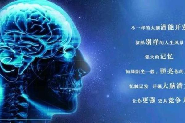 2007年金命人的运势与人生解析：软实力与内在潜能的体现