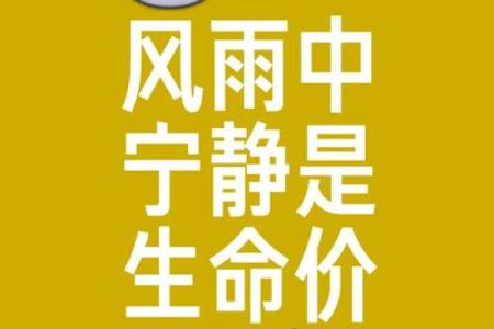 1990年马年出生的人命运解析：行走在人生旅途中的独特特征与机遇