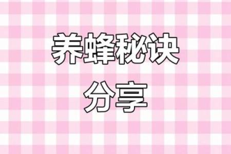 养蜂之道：成为优秀蜜蜂养殖者的必备素质与技巧