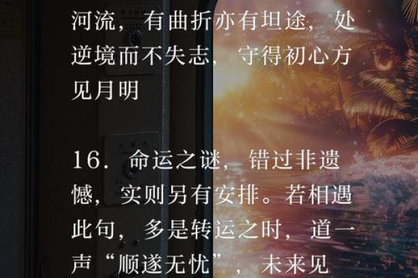 探寻腊月戌时属蛇的命运之谜与生活启示