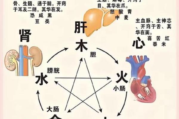 土命与木命的相克关系：探寻五行之间的神秘交融