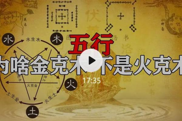 土命与木命的相克关系：探寻五行之间的神秘交融