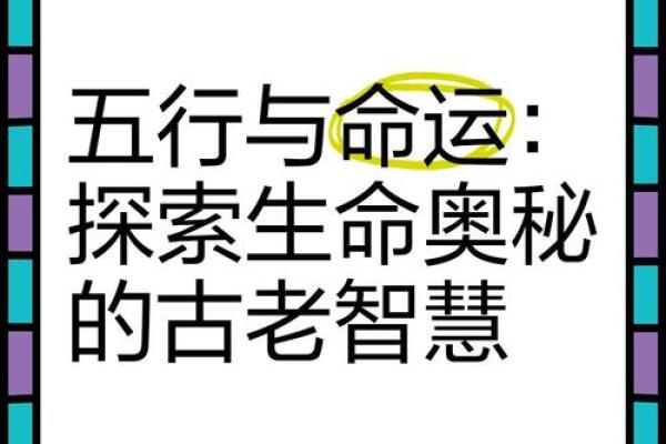 探寻2000年大龙降临，解析其命运与运势的奥秘