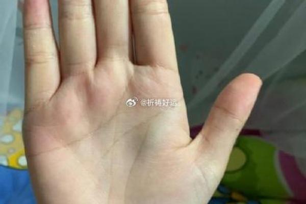 探秘癸酉年卯时命理：如何解锁命运的奥秘与智慧