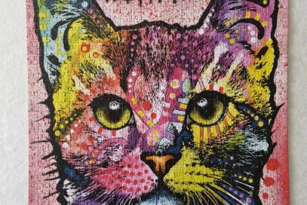 揭开九命猫的神秘面纱：其实它并不止九命！