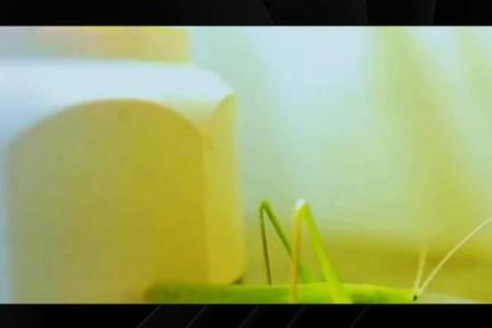 见不得坏事，生活的另一种智慧与勇气