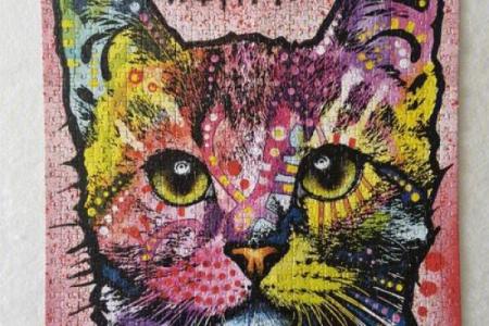 揭开九命猫的神秘面纱：其实它并不止九命！