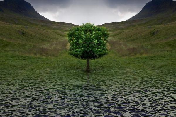 探秘批判命理学：重塑人类命运的思维方式