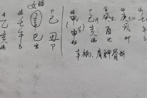 癸酉年出生的人命运解析：从天干地支看人生轨迹与性格特征