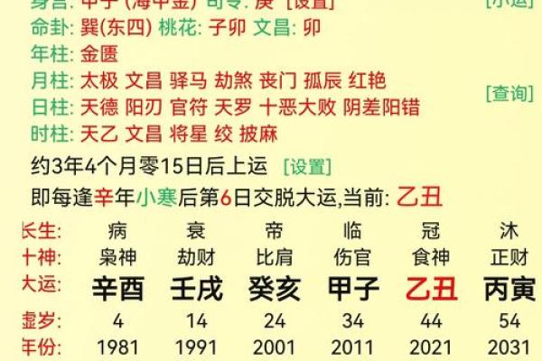 癸酉年出生的人命运解析：从天干地支看人生轨迹与性格特征