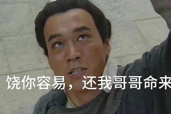 用日语怎么说“还我命”？探索语言背后的深意与情感