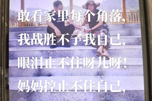 用日语怎么说“还我命”？探索语言背后的深意与情感