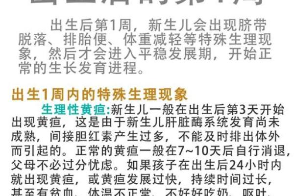 探索1976年新生儿的命运与特质，解读命理背后的奥秘