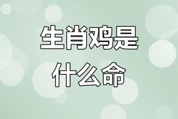 1969年出生的鸡命：勇敢与智慧的完美结合