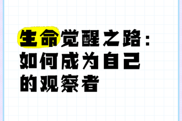 命里土多的命格解析：深厚稳重的生命之路