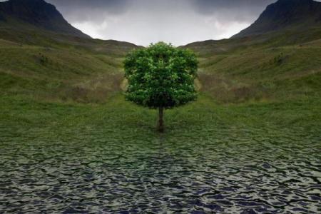 探秘批判命理学：重塑人类命运的思维方式