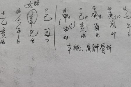 癸酉年出生的人命运解析：从天干地支看人生轨迹与性格特征