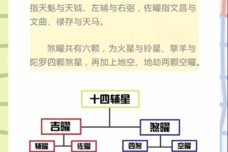 探索1976年新生儿的命运与特质，解读命理背后的奥秘