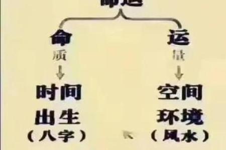 命理解析：三个酉男命的特点与人生轨迹