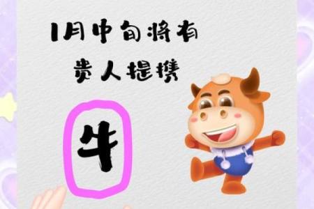 2021年属牛人的命运分析：五行相生，迎接好运的转折年！