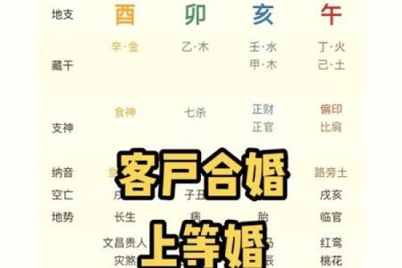 测你的生日，解码命运奥秘，寻找人生方向