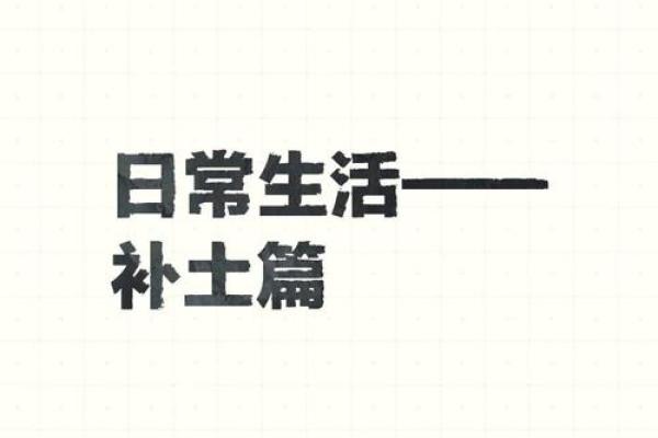 2006年土命解析：缺失的元素与生活的完美结合