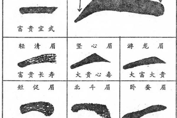 眉毛尾部分叉的命运解析：看相术中的秘密与启示