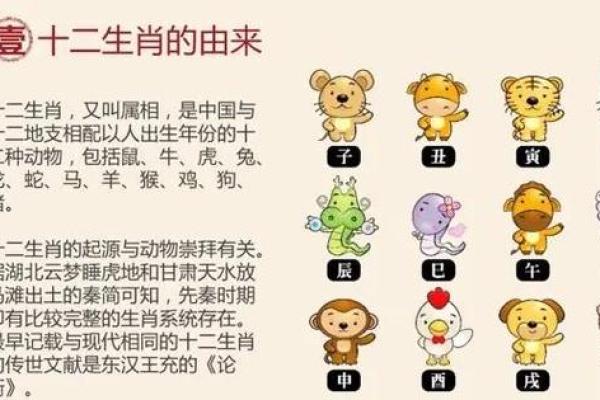 揭秘2024年属什么的命运：深入探讨六十年属相的奥秘与变迁
