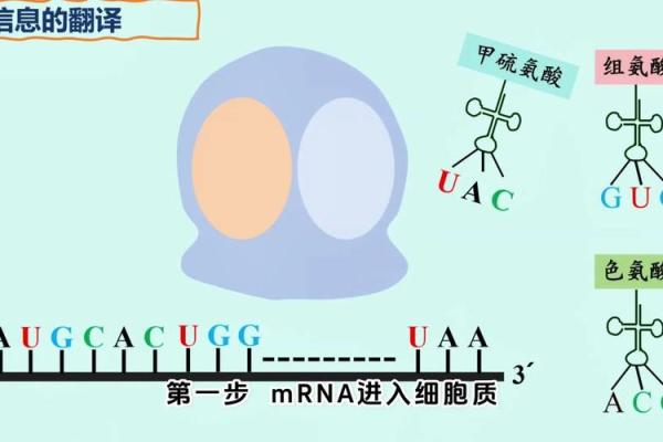 通过月令解析命格：揭开生命奥秘的神秘面纱