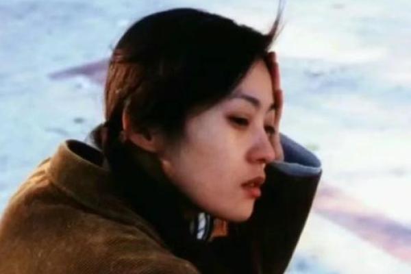 1978年4月出生的人：独特命运与璀璨人生之路