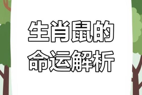 1996年：鼠年命运的独特轨迹与人生启示