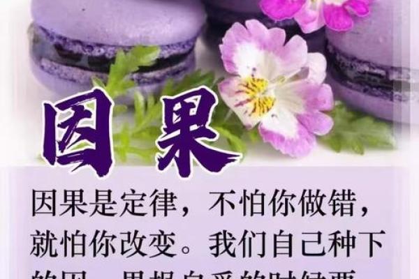 揭秘因缘：为何我们的生命中会出现童子命？