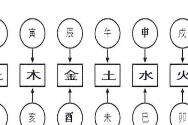 探秘胎命：命理学中关于生命初期的深奥说法