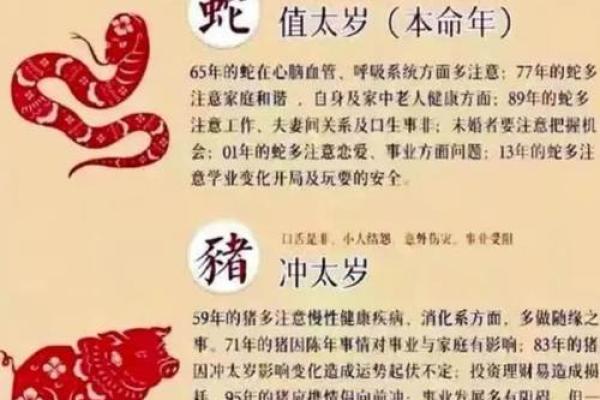 探索1991年腊月12日的独特命运与人生启示