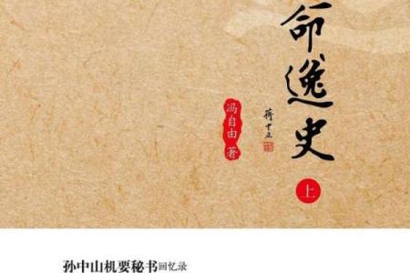 天马命：追寻自由与梦想的生活哲学