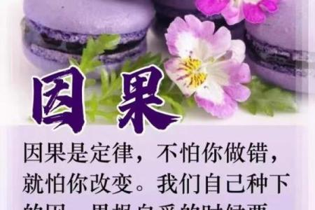 揭秘因缘：为何我们的生命中会出现童子命？