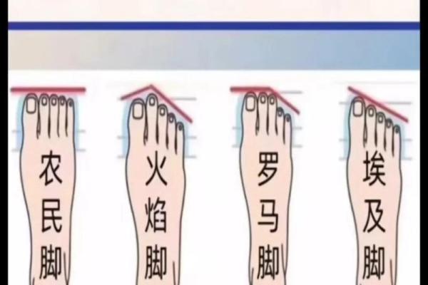 大脚拇指弯曲的秘密：它隐藏的命运与性格解析