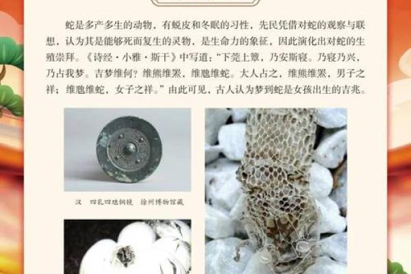 2013年：蛇年命理解析与人生启示