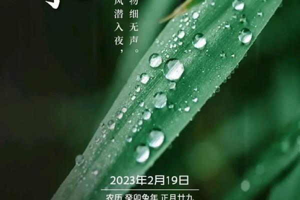 2023年生肖解析：农历30年的生肖与命理的深度探讨