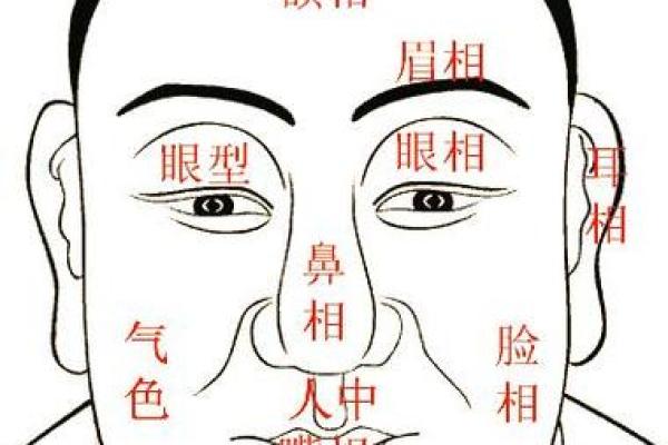 眼睛鼻子圆润，命运皆丰盈，揭秘相学奥秘！