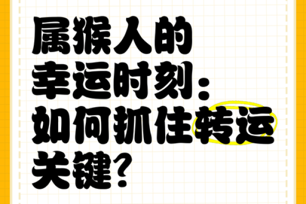 明年属猴人的命运最旺，如何把握机会提升运势？