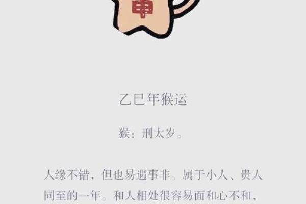 明年属猴人的命运最旺，如何把握机会提升运势？