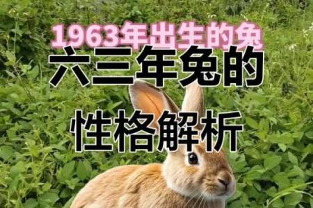1963年属兔，灵动优雅的命运之旅