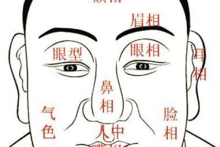 眼睛鼻子圆润，命运皆丰盈，揭秘相学奥秘！