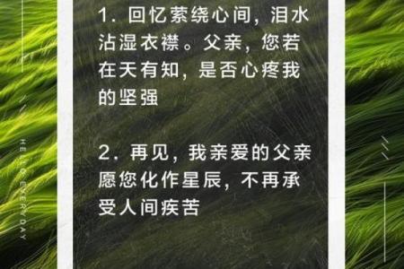 中年失去父母后的生活变迁与心灵重塑