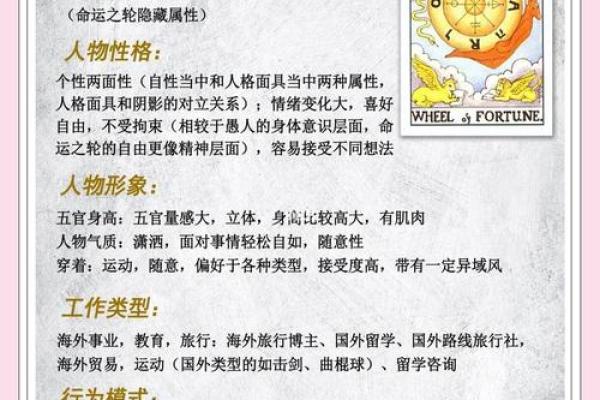 测你一生的福命是什么命，揭示命运的奥秘与人生的选择