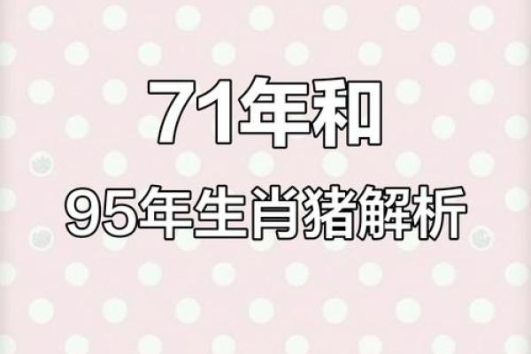阴历95年属猪人：命运与性格的深度解析